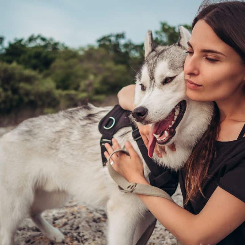 Woman hugging Siberian husky pet