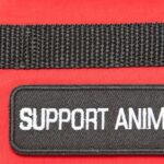 Support animal sign